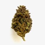 Comment acheter des fleurs de CBD ?