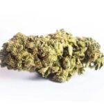 Où acheter des fleurs de CBD ?
