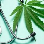 Quel CBD pour moi ?