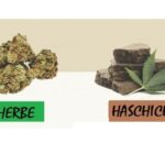 Quelle est la meilleure résine CBD ?