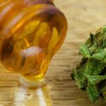 Quels sont les meilleures résines de CBD ?
