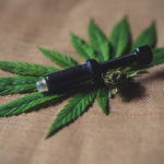 Comment choisir sa boutique de vente de CBD ?